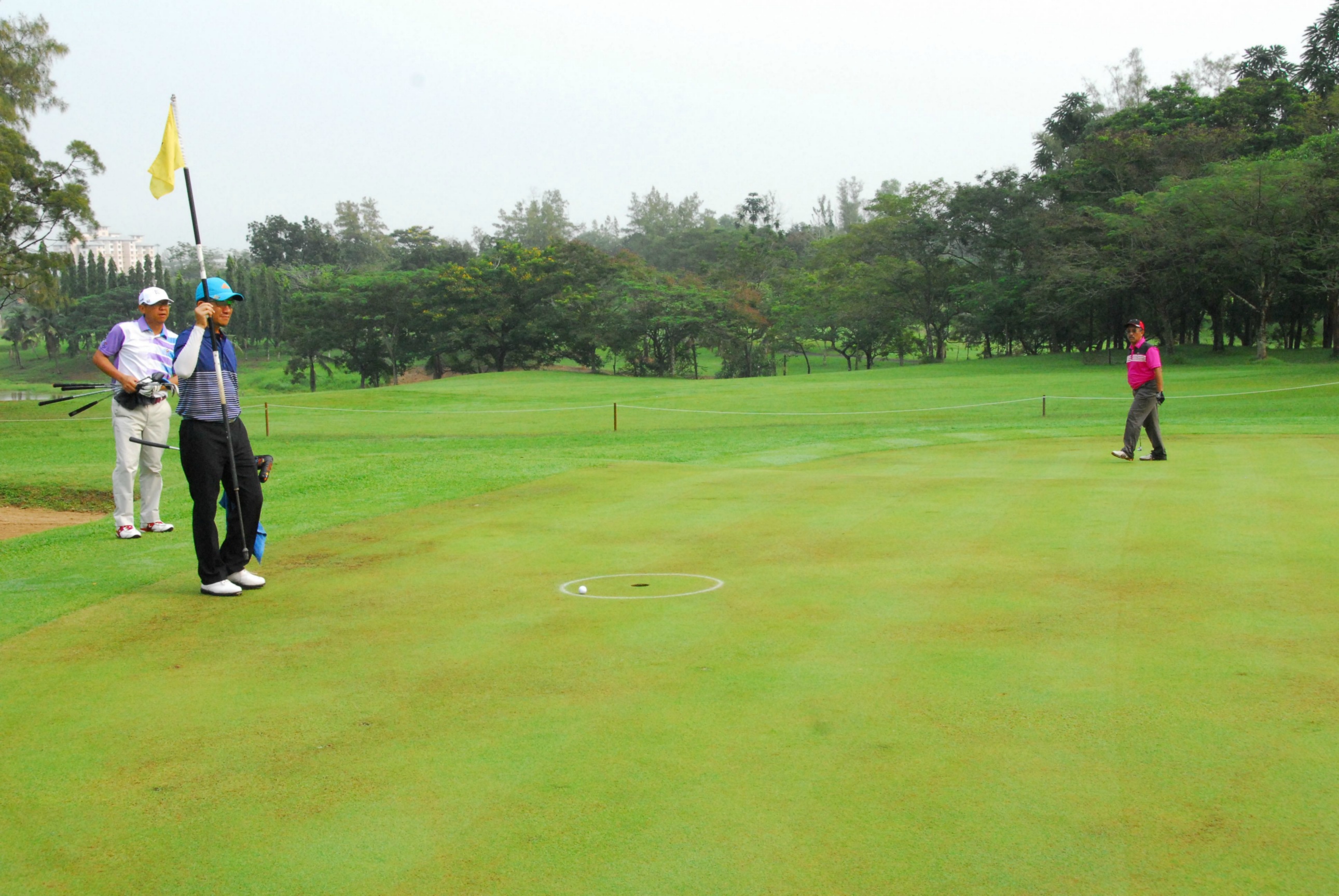 PRO15 157 GOLF DSC 0252.JPG